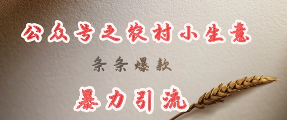 deepseek写农村小项目，条条爆款，暴力引流-优优网创
